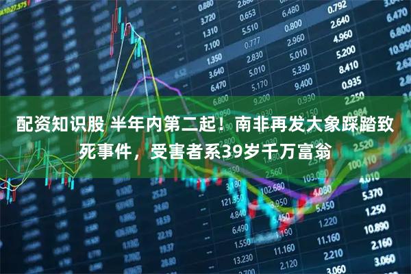 配资知识股 半年内第二起！南非再发大象踩踏致死事件，受害者系39岁千万富翁