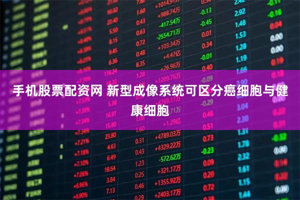 手机股票配资网 新型成像系统可区分癌细胞与健康细胞